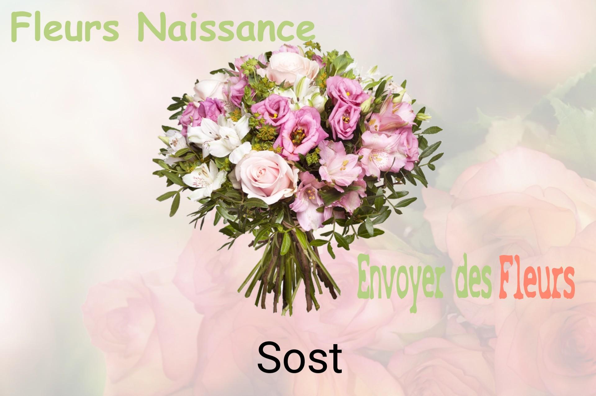 Bouquet de fleurs de naissance livré à Sost